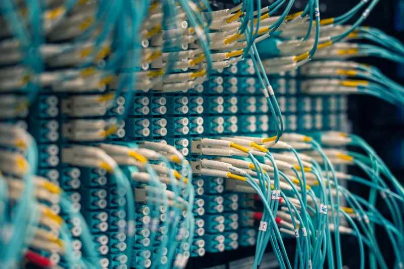 Always Running: The Relentless Mechanics Behind Torrent Platforms That Never Stay in One Place