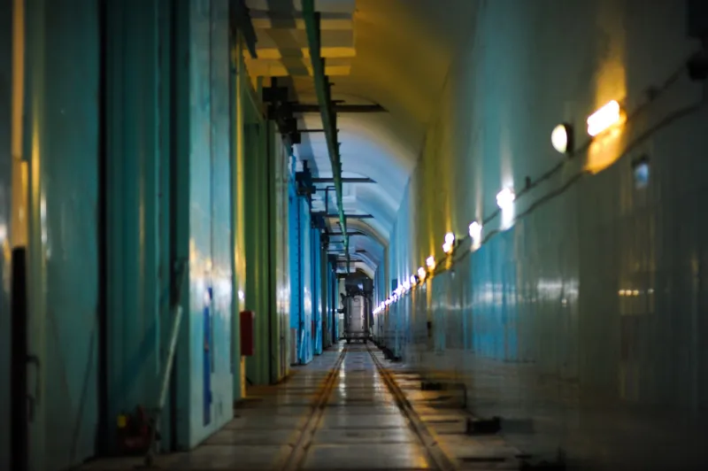 Still Standing: The Tracker Communities That Outlasted the 2024 Crackdown